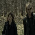 Filename=05257.jpg
Filesize=243KiB
Dimensions=1920x1080
Date added=Jan 28, 2025 05257.jpg