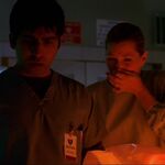 Filename=02771.jpg
Filesize=117KiB
Dimensions=1920x1080
Date added=Apr 19, 2025 02771.jpg