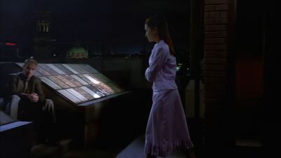 04894.jpg