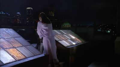 04899.jpg