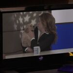 Filename=00609.jpg
Filesize=101KiB
Dimensions=1920x1080
Date added=Mar 09, 2025 00609.jpg