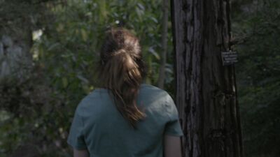 01922.jpg